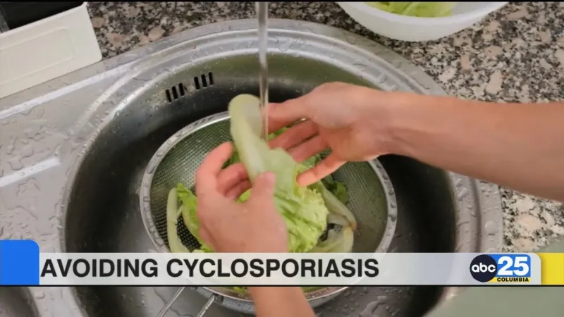 How to avoid the "explosive diarrhea" causing parasite known as cyclospora