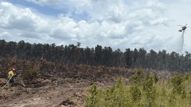 Horse Island fire reaches 50% containment in Berkeley Co.