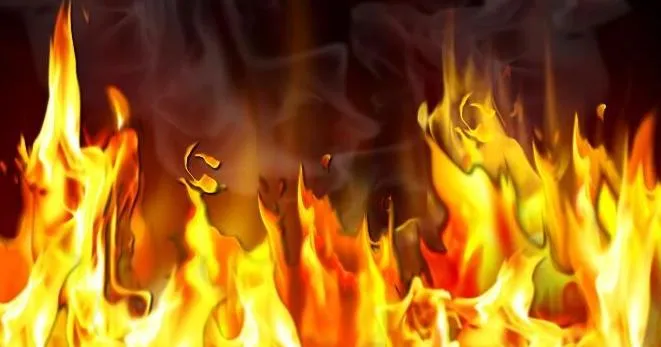 Palmetto Rural Fire tax vote on Tuesday in Darlington County