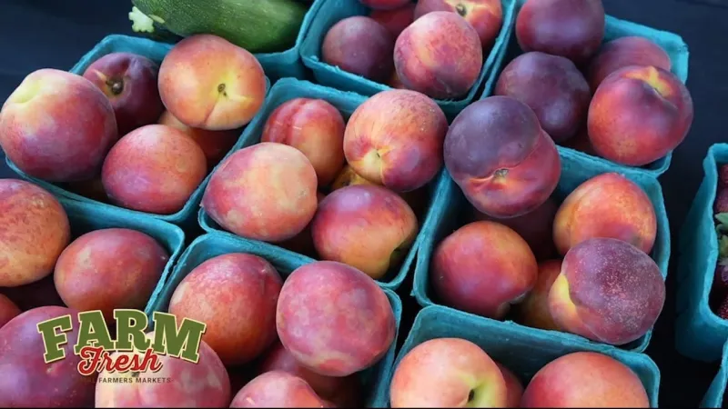 Get to Know M&M Farms -- A Local Farmers Market Vendor
