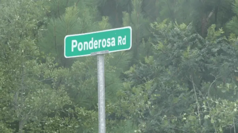 Human remains investigation underway near Ponderosa Road