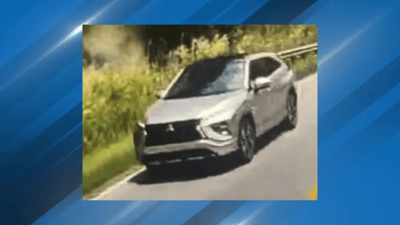 Troopers search for driver who may have witnessed fatal Williamsburg County crash