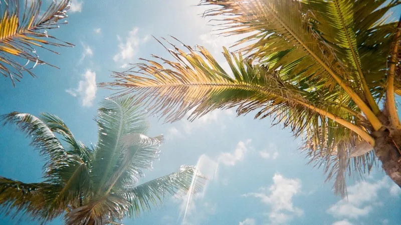 Scattered storms today, hotter and drier later this week