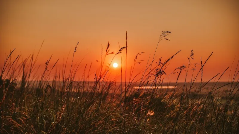 Hot temperatures and limited rain for the last week of July