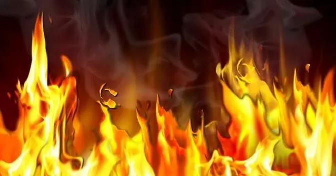 Voters OK Palmetto Rural Fire District tax increase
