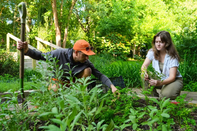 Shi Fellow gets hands in the dirt and better understanding of farm-to-table