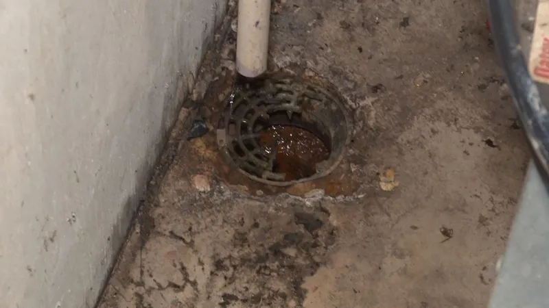 Mullins woman says months of ignored leak led to flooding, unsafe living conditions