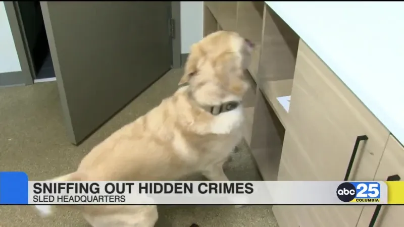 Meet the newest members of SLED's Special Victims Unit