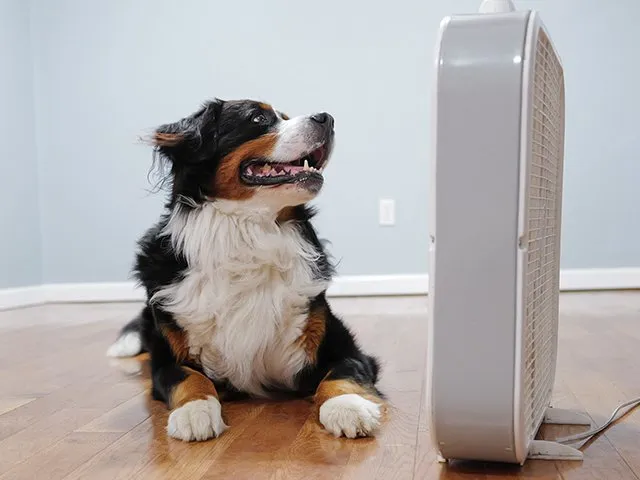 Want a more comfortable home? Try energy efficiency upgrades