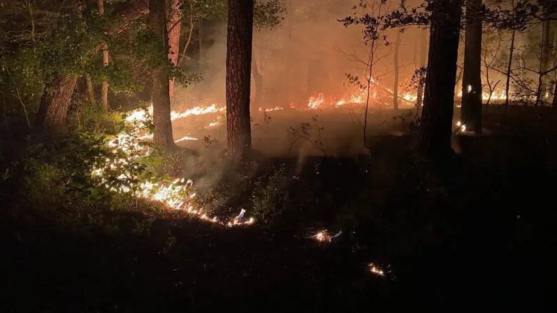 Lightning strike suspected as cause of remote Colleton County woods fire
