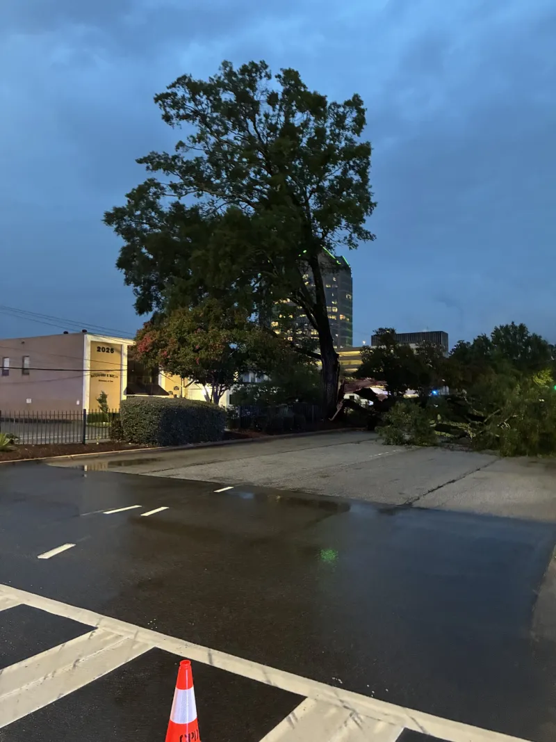 Parts of Elmwood Avenue, Assembly Street temporarily closed for repairs, says CPD
