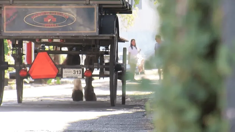 Charleston carriage driver, passenger injured after carriage horse spooks downtown