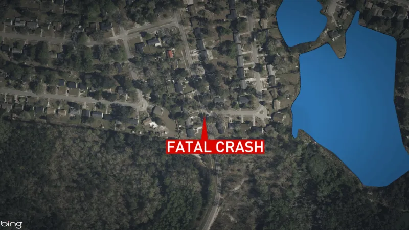 Driver dies after car hits tree, culvert and power pole