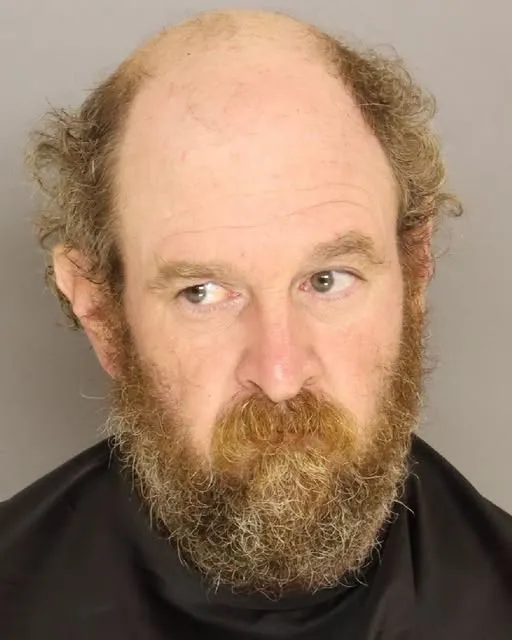Deputies: Man arrested after pointing gun at firefighters