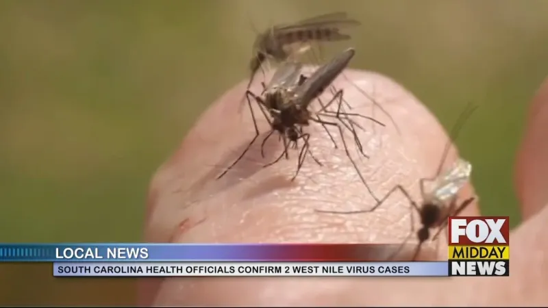 South Carolina Confirms 2 Cases Of West Nile Virus In Myrtle Beach