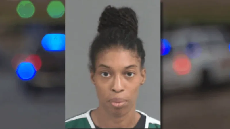 20 cats found dead, nine rescued from Charleston home; woman faces charges