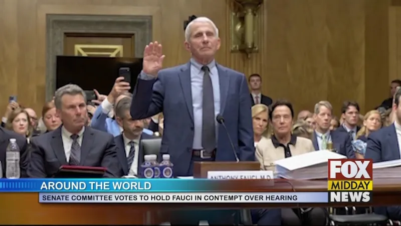 Senate Committee To Hold Fauci In Contempt Of Congress