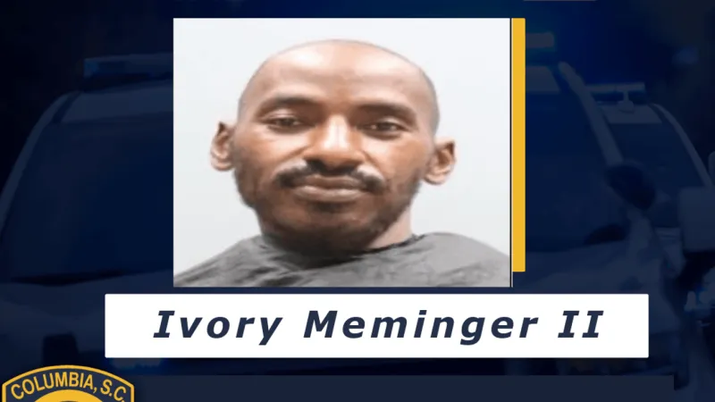 Man arrested after fatal domestic stabbing, coroner identifies victim
