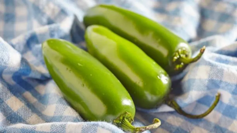 SC, NC among states affected by Salmonella outbreak linked to jalapeos
