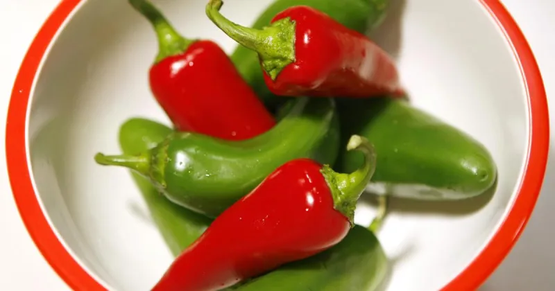 Jalapeos linked to Salmonella outbreak in 27 states, including SC. Here's how to avoid it.