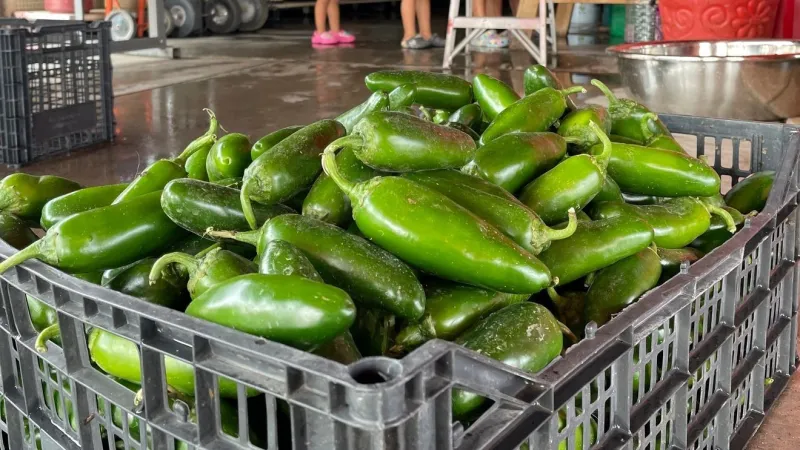 Salmonella outbreak tied to jalapenos sickens over 300 people in 27 states, including SC