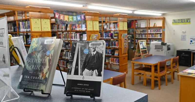 Orangeburg County Library: Public support and supply of books grew over decades