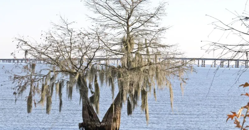 Santee State Park offers beauty, recreation
