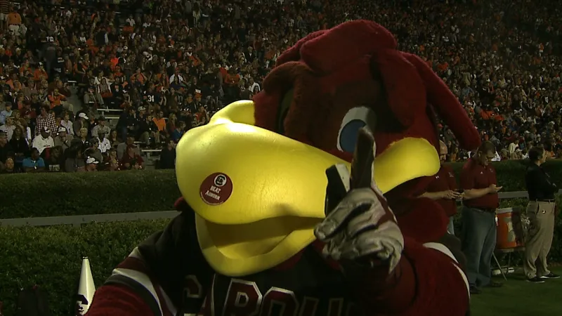 Congratulations Cocky!! Carolina's beloved mascot in the Hall of Fame