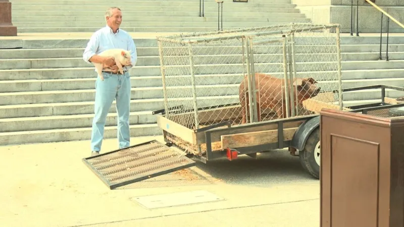 Mark Sanford brings live pigs to SC State House to spotlight government spending and debt