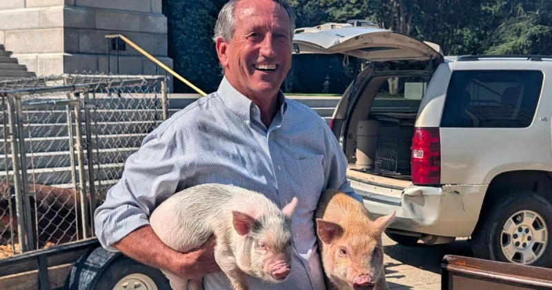 US Senate race update: Sanford dusts off old pooping pig trick. Tim Scott bets on Darline Graham.