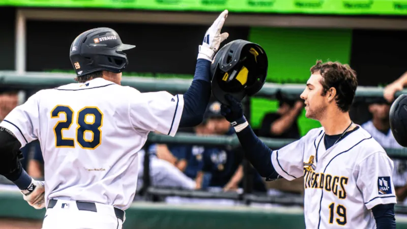 RiverDogs push past Cannon Ballers 2-1 in close Thursday night game