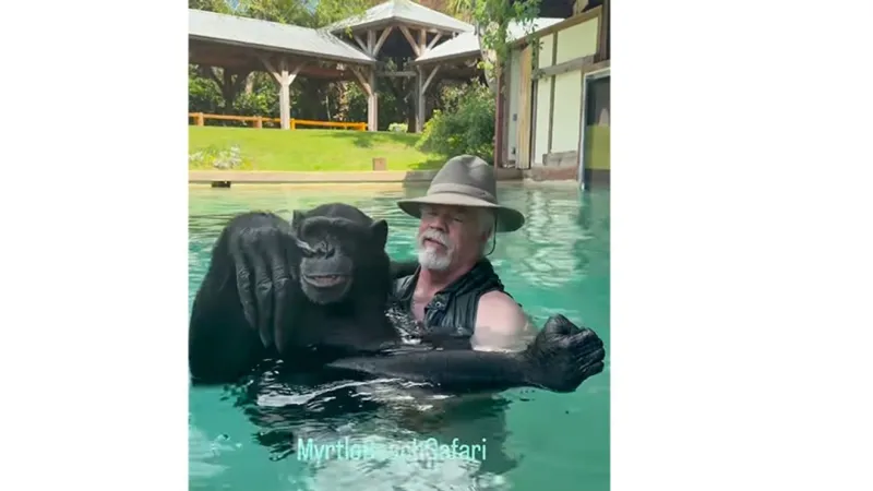 4 chimpanzees at center of new federal court fight