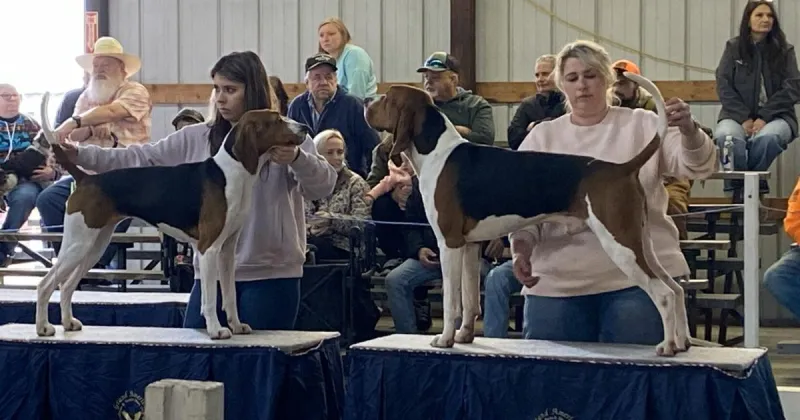 Fifty years of the Grand American