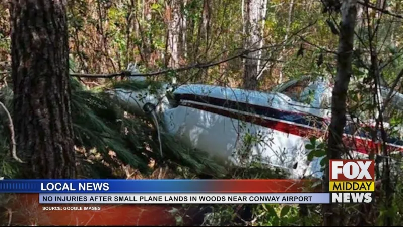Small Plane Lands In Woods Near Conway Airport