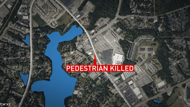 Pedestrian killed in hit-and-run on Decker Boulevard