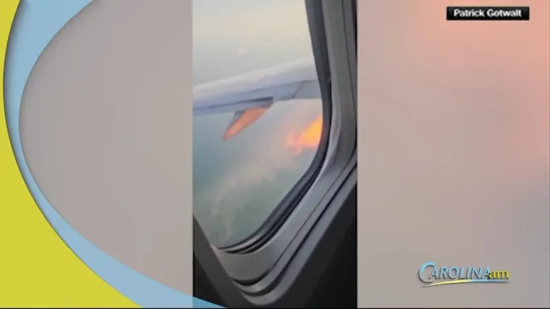 Bird Strike Causes Flight to Return to Myrtle Beach