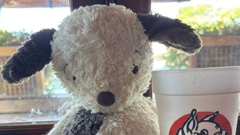 Inspired by viral 'Bearsy' teddy bear reunion, Home Team hunts for lost stuffed pup's home