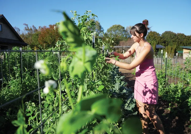 Furman Farm visitors highlight their day in the Simpsonville Sentinel