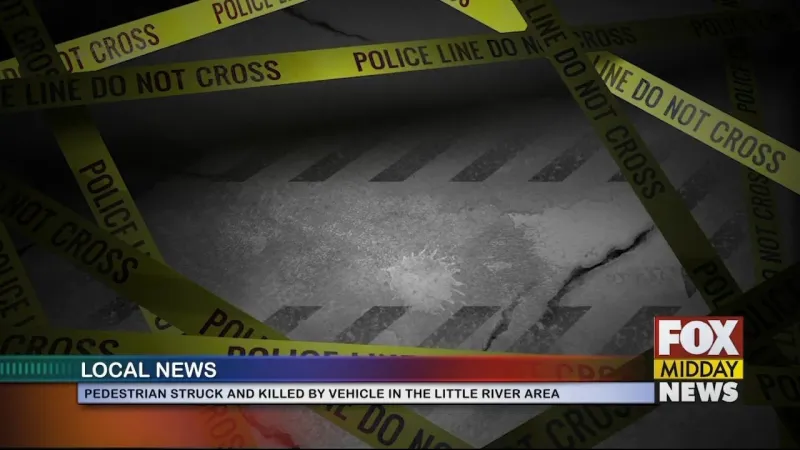 Pedestrian Struck And Killed In Little River Area
