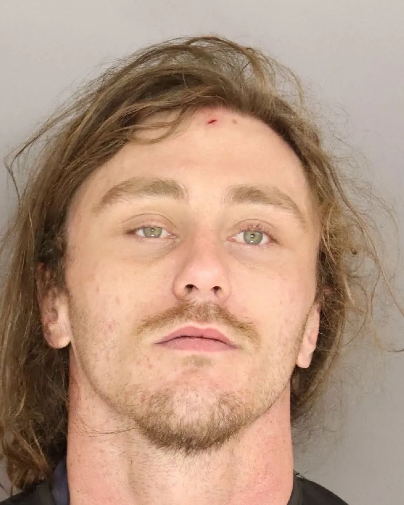 Man in custody after drugs, guns were found in home