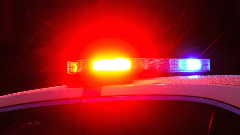 Pedestrian dies after being struck by truck in Horry Co.