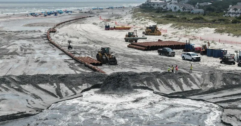 IOP beach renourishment crosses paths with turtle nesting and hatchling season