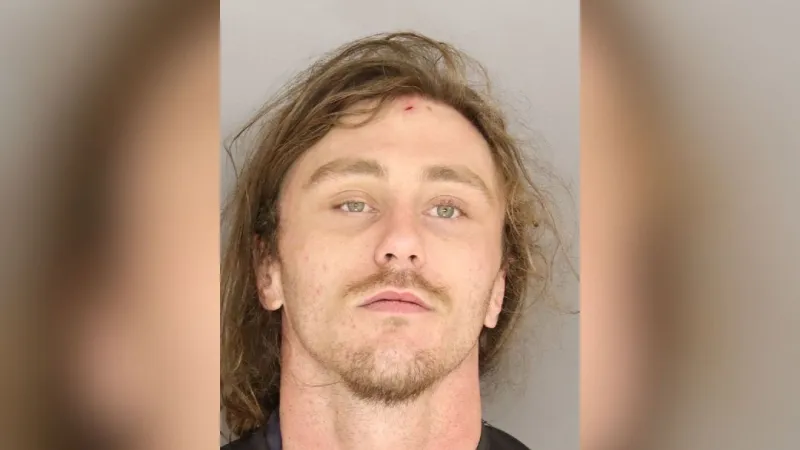Man arrested on multiple gun, drug charges