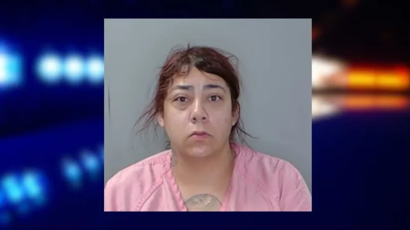 2 arrested after assault, kidnapping in Georgetown Co.