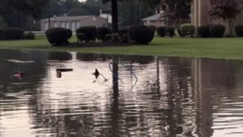 Sunday storms cause minor flooding in parts of Florence