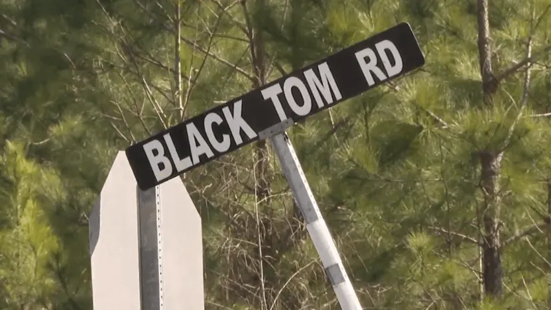 School bus, car collide on Black Tom Road; driver trapped in vehicle, officials say