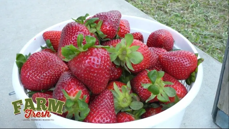 Get to Know Home Sweet Farm -- A Local Farmers Market Vendor