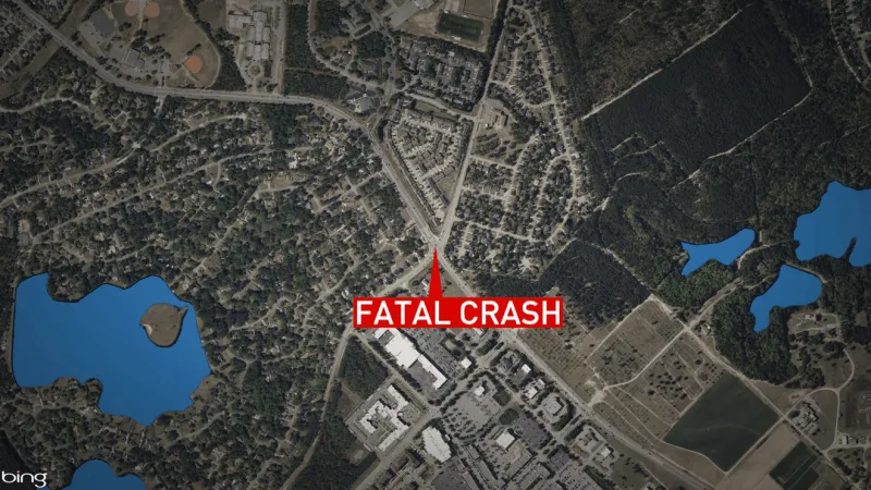 Motorcyclist dies after collision with pickup truck