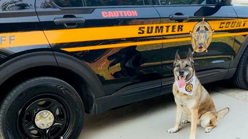 Sumter County Sheriff's Office celebrates retirement of longtime K-9