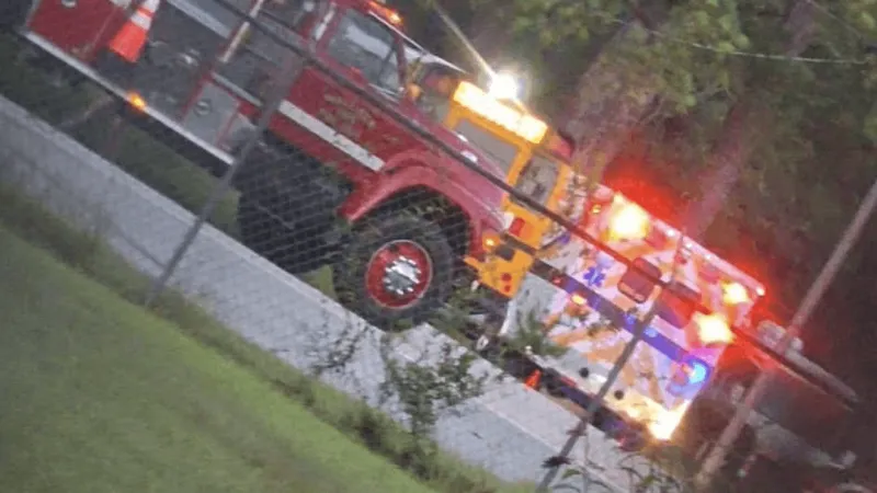 Marlboro Co. School bus involved in crash